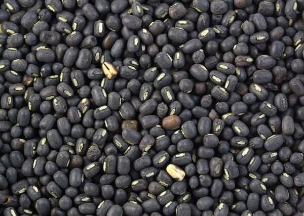 Urad Whole( Black Lentisl)