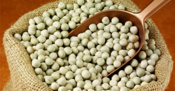 Blue Peas